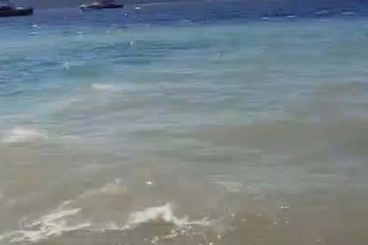 Bodrum’da denizin kirletilmesine ilişkin soruşturma başlatıldı